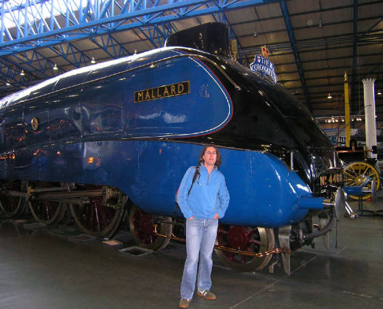 mallard.jpg